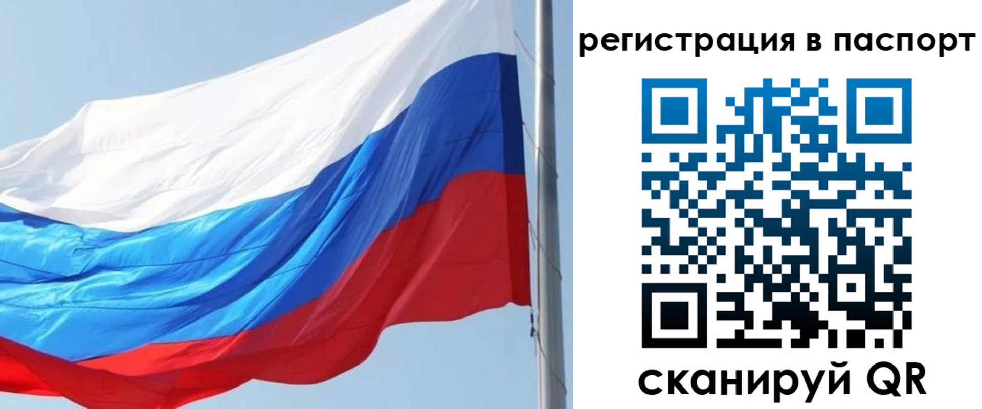 прописка законно в Рыбинске